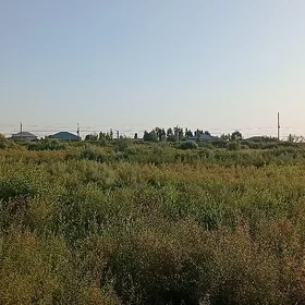 Satlyk jay Panahanda