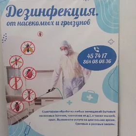 Дезинфекция