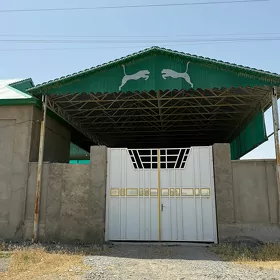 satlyk jay