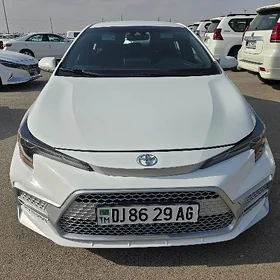 Toyota Corolla 2021