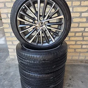 morda disga lexus