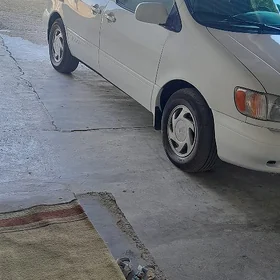 Toyota Sienna 2003