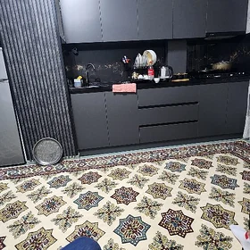 Arenda Mir7/1