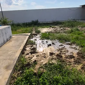 ONALDY ARENDA FULL JAÝ