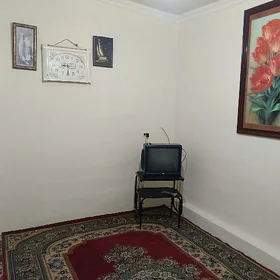 arenada jaýlar