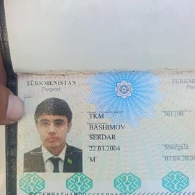 Serdar basimow