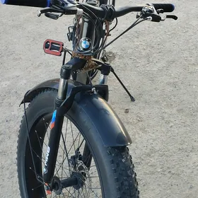tigir