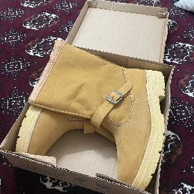 Sapok Zimni