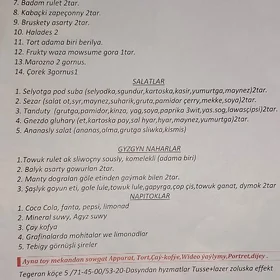 AÝNA RESTORAN MENU