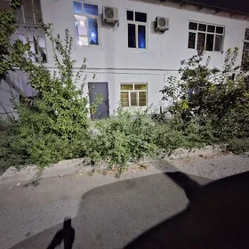 satlyk 3 komnat bekrëve