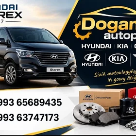 HYUNDAI STAREX H-1 SAYLARY