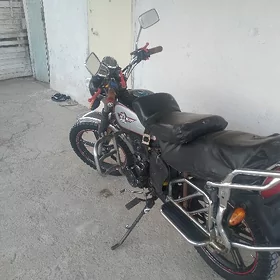Fekon FK150-8G 2023