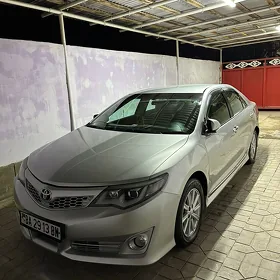 Toyota Camry 2013