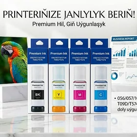 epson craska  gowsy
