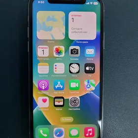 iPhone X