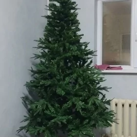 ýolko