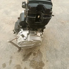 Dokma 150