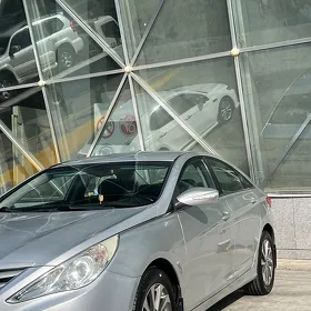 Hyundai Sonata 2010
