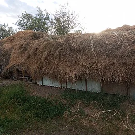 Мал оты