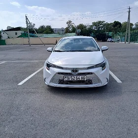 Toyota Corolla 2023