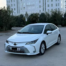 Toyota Corolla 2021