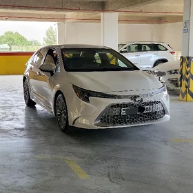 Toyota Corolla 2021
