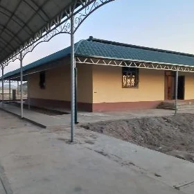 Dünya bazar tarapda