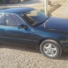 99 awalon orak dysga