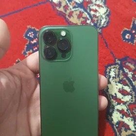 13 pro