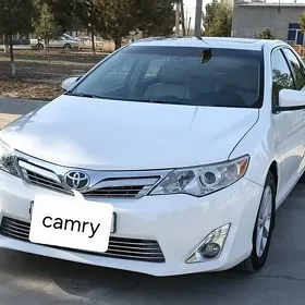 Toyota Camry 2013