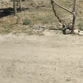 Boş mellek zaton daça