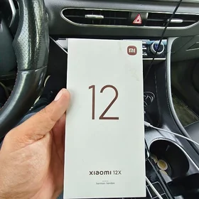 Mi 12x