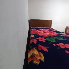 krawat rossiski