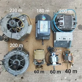 Motor