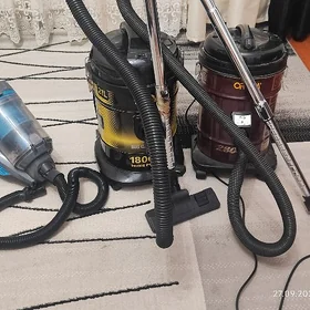 plesos tozan sorujy