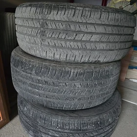 17 Teker Pokryshka