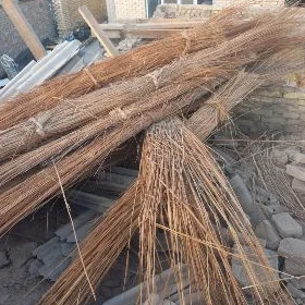 kamyş