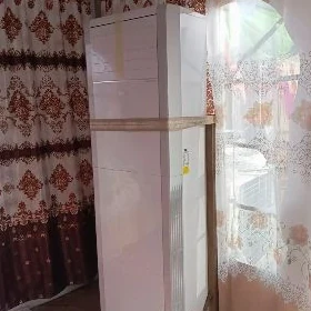 gummez palata