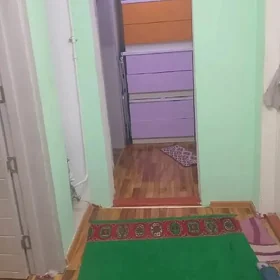 Kemine karkasny transpot insut