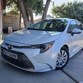 Toyota Corolla 2024
