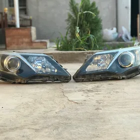 palta cemyry far