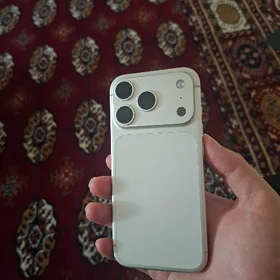 17 pro