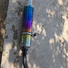Fekon gulsitel