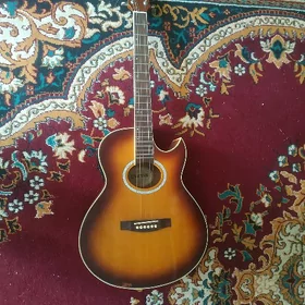 Elektro akustik gitar