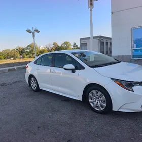 Toyota Corolla 2023