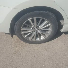 karolla diska 16 lyk halyjy