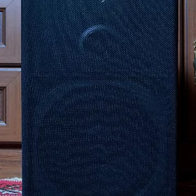 PIONEER KOLONKA