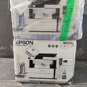 Epson M2170 printer