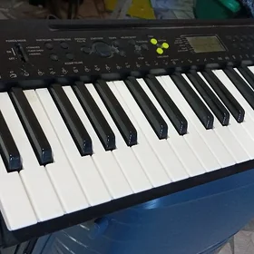 CASIO ORG