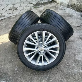 Diska Pakyryska 17